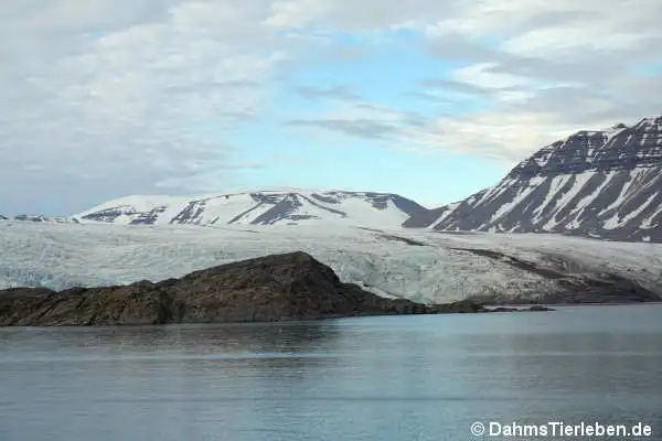 Nordenskiöldbreen