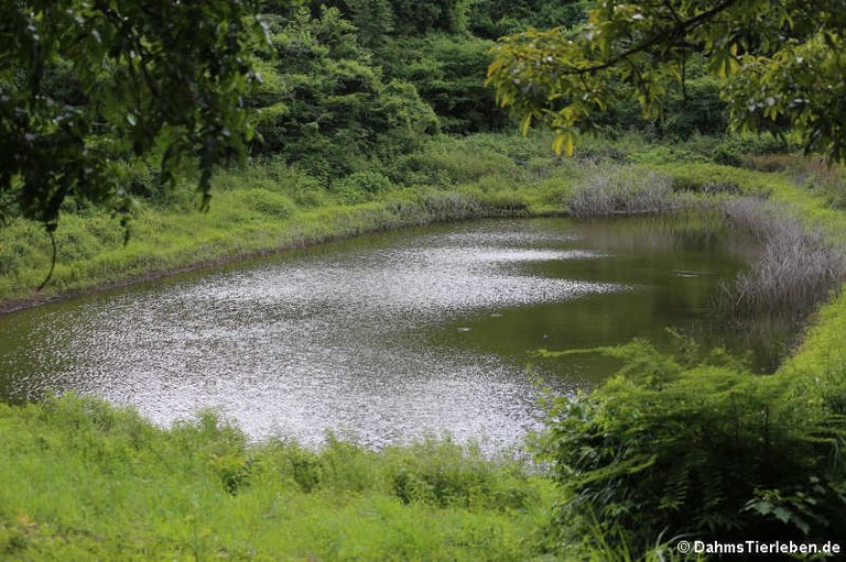 Nature Reserve