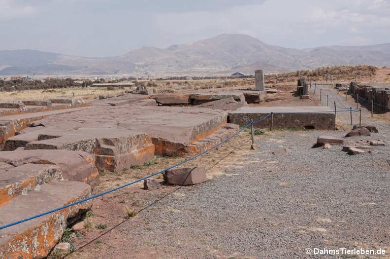 Puma Punku