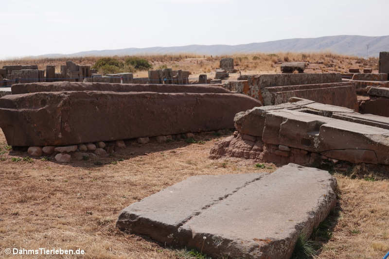 Puma Punku