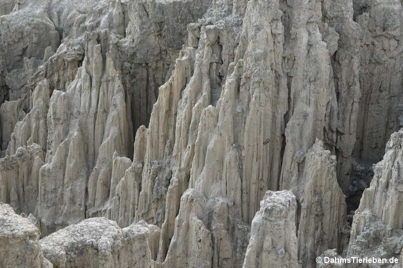 Valle de la Luna (La Paz)