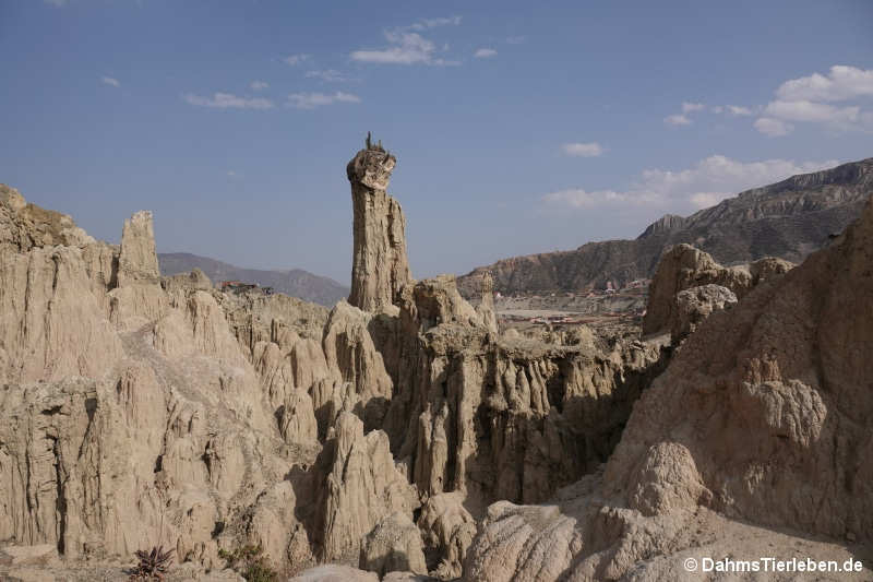 Valle de la Luna (La Paz)