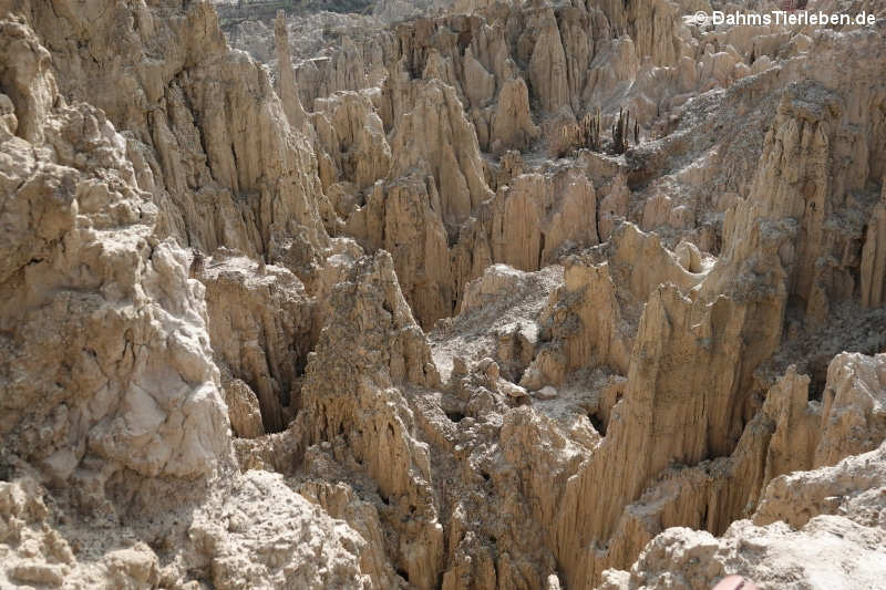 Valle de la Luna (La Paz)