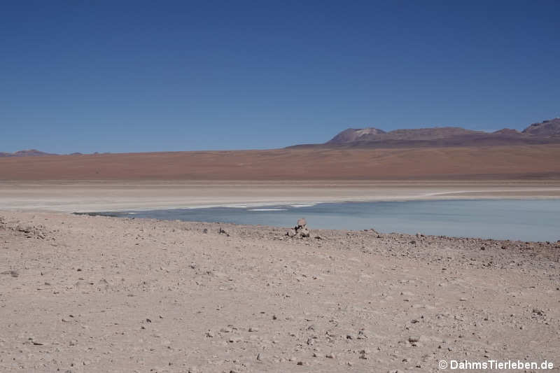 Laguna Blanca 1