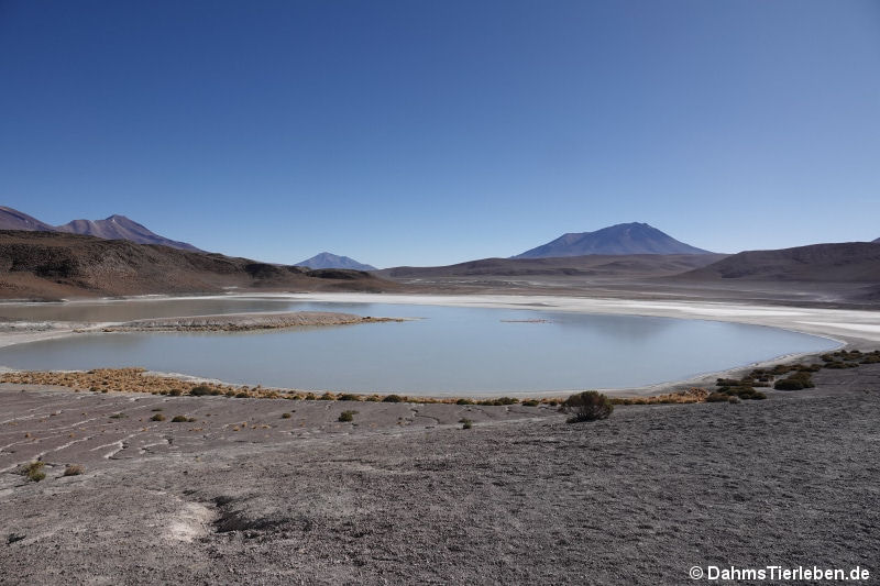 Laguna Khara 2