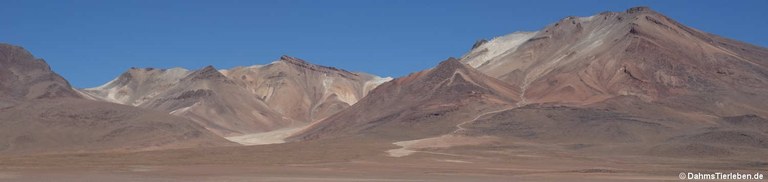 Berge am Árbol de Piedra