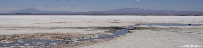 Salar de Uyuni