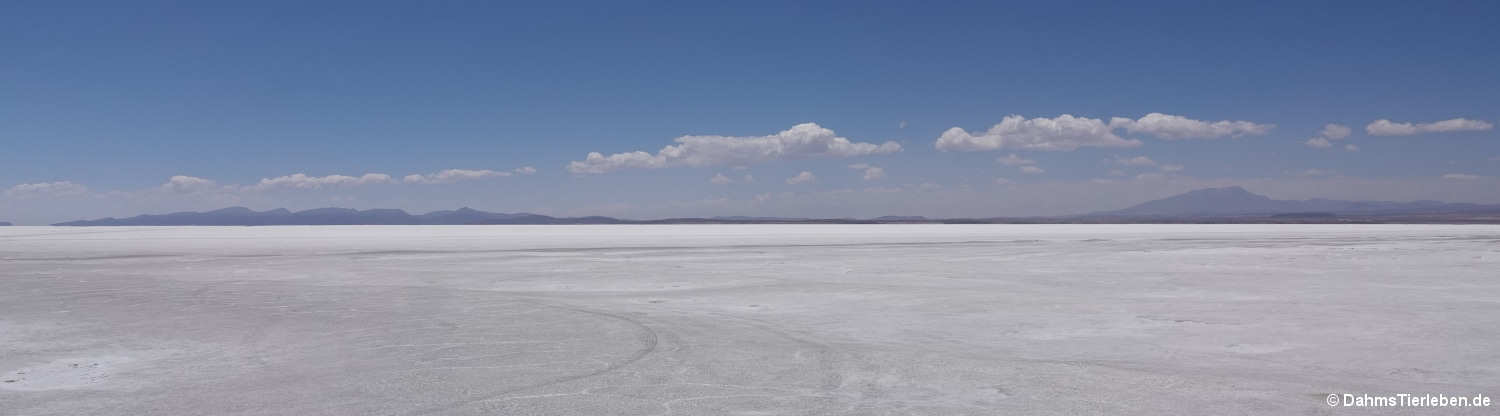 Salar de Uyuni 5