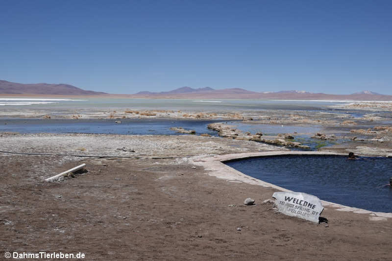 Termas de Polques 1