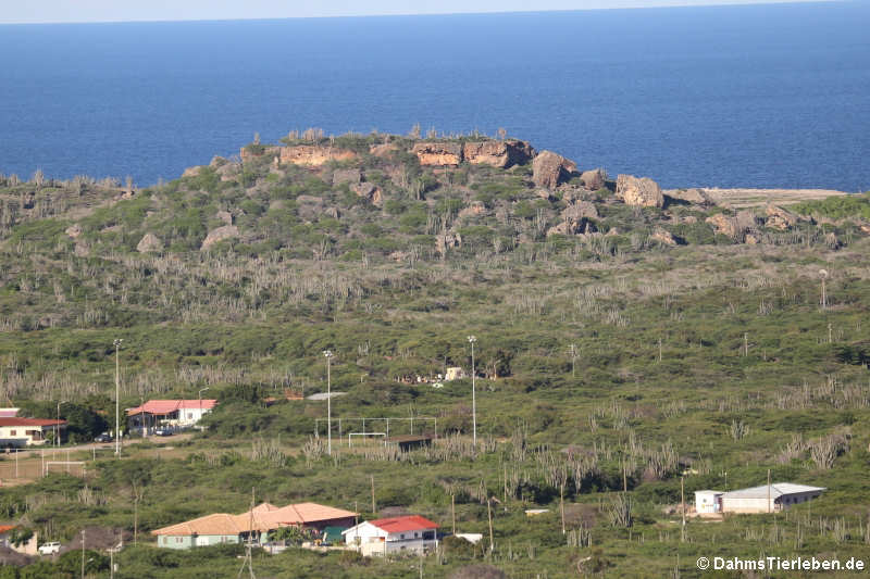 Blick auf Rincon