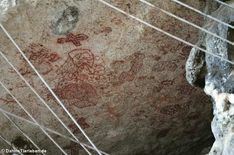 Petroglyphen in den Felsen nahe Boka Onimá