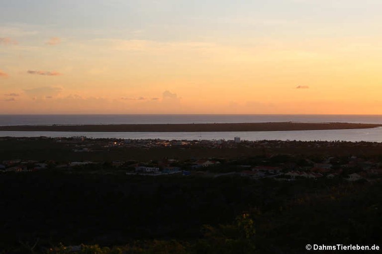 Sonnenuntergang auf Bonaire