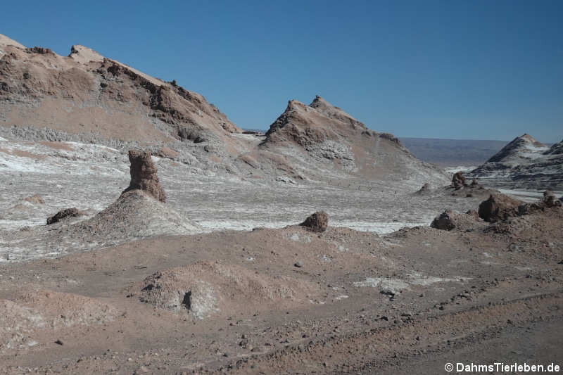 Valle de la luna