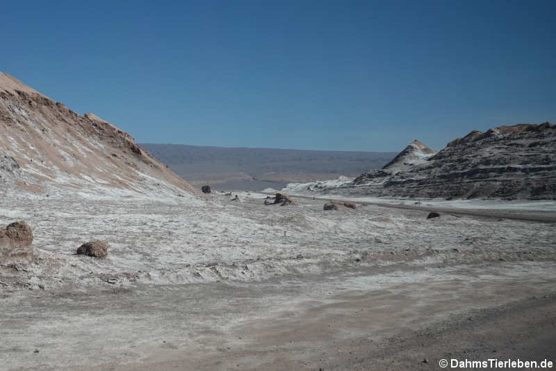 Valle de la luna