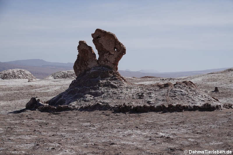 Valle de la luna