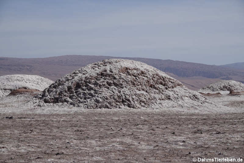 Valle de la luna