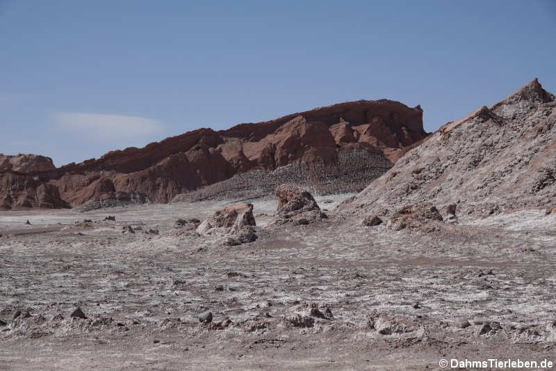 Valle de la luna