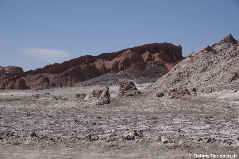 Valle de la Luna