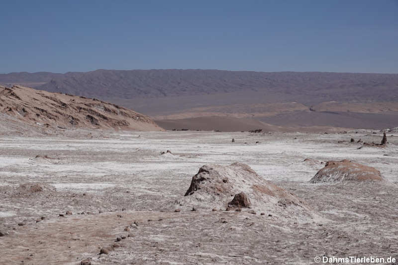 Valle de la luna