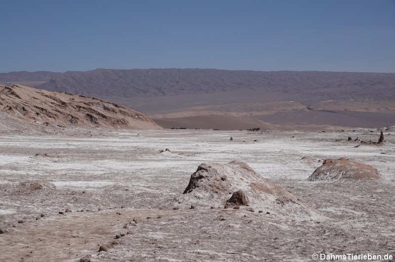 Valle de la Luna