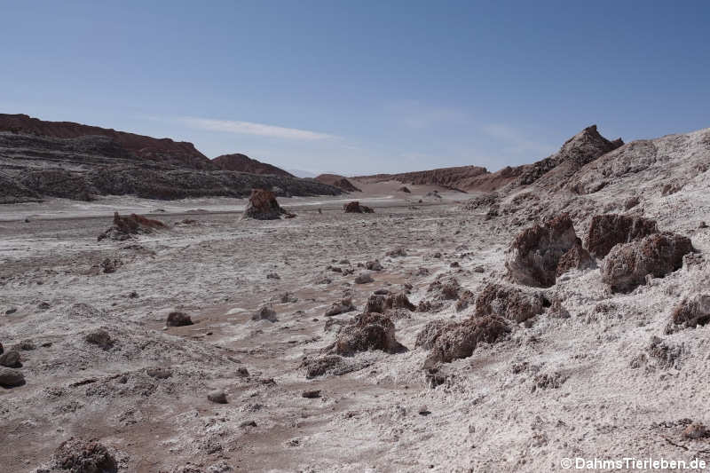 Valle de la luna