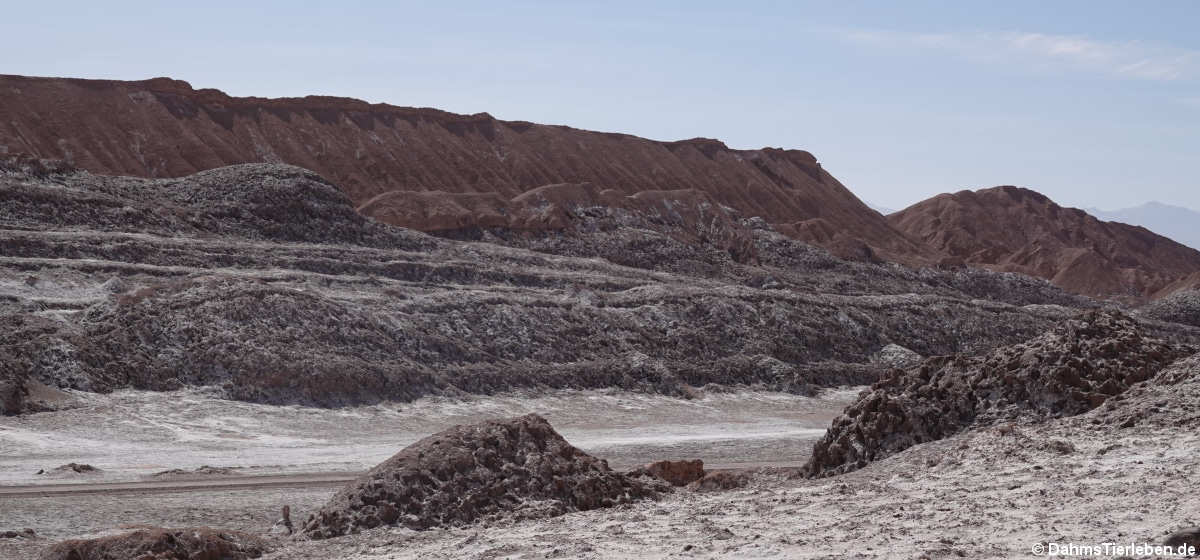 Valle de la luna