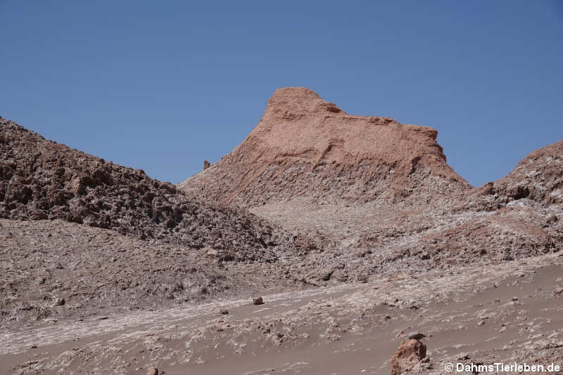 Valle de la luna