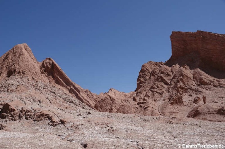 Valle de la Luna