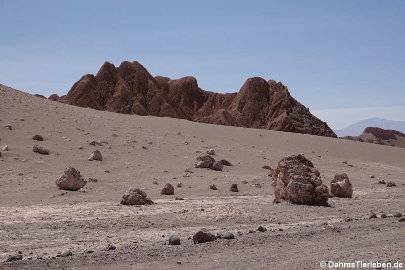 Valle de la luna