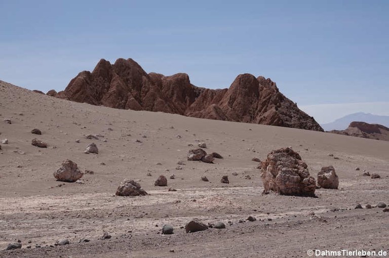 Valle de la Luna