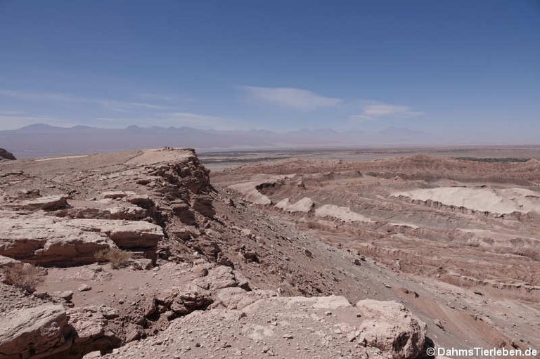 Valle de la Luna