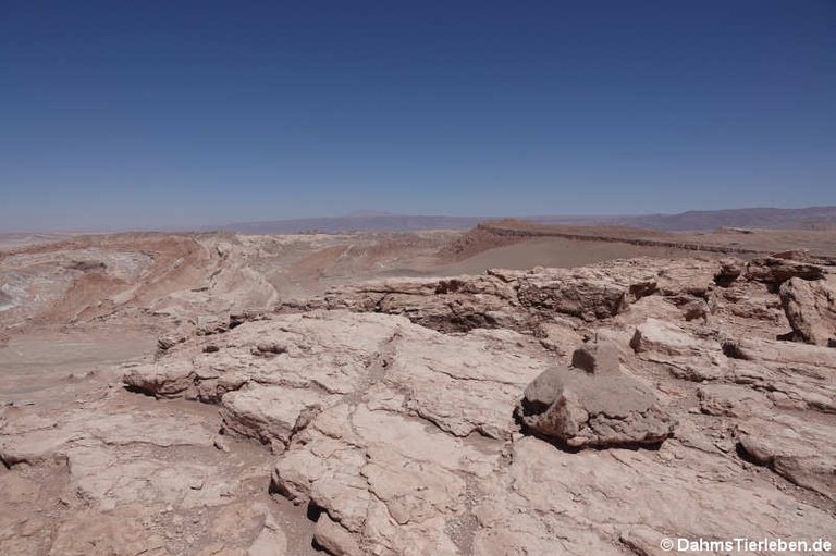 Valle de la Luna