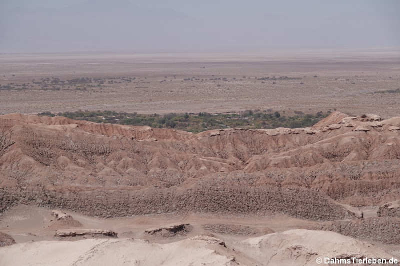 Valle de la Luna