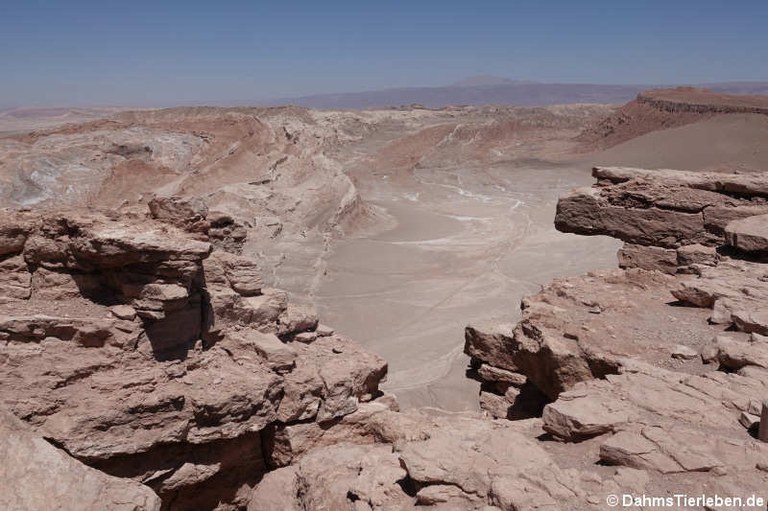 Valle de la Luna