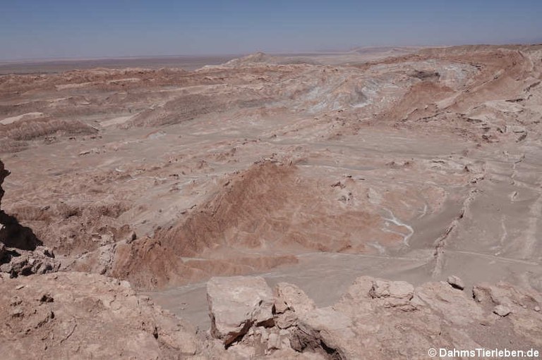 Valle de la Luna