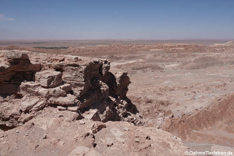 Valle de la Luna