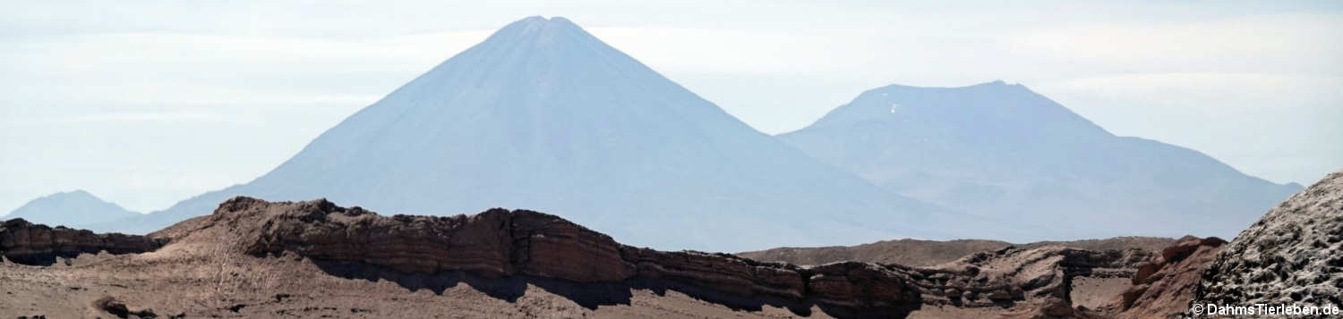 Licancabur und Juriques