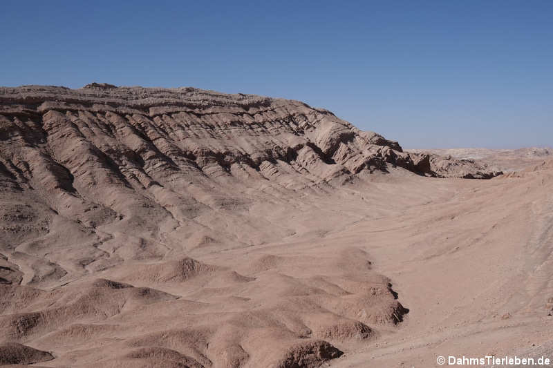 Valle de la luna