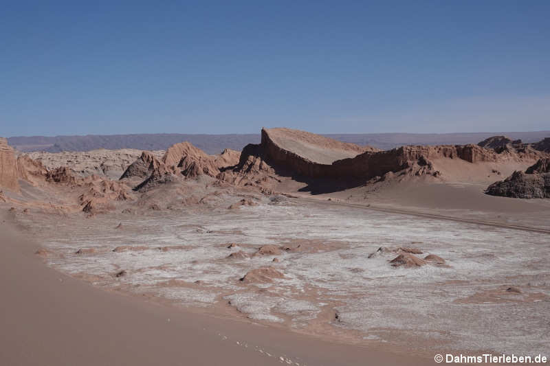 Valle de la luna