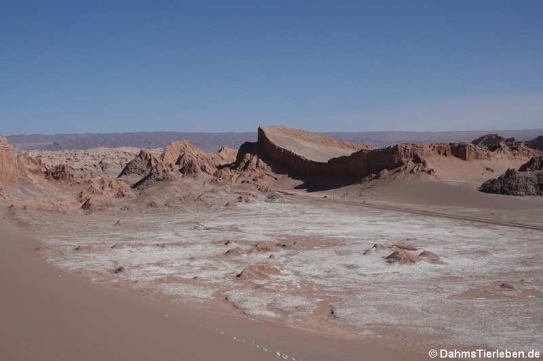 Valle de la Luna