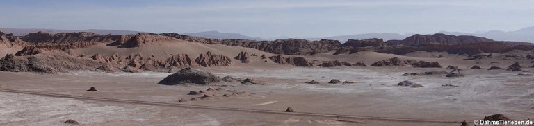 Valle de la Luna