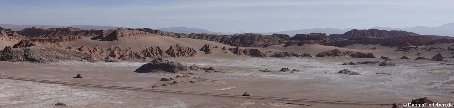 Valle de la Luna