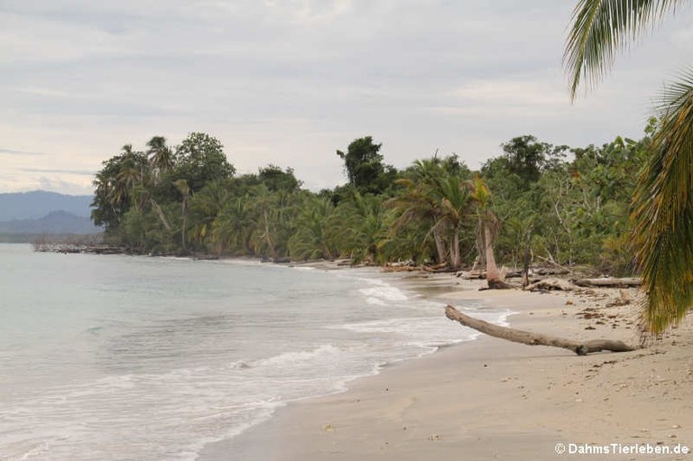 Nationalpark Cahuita