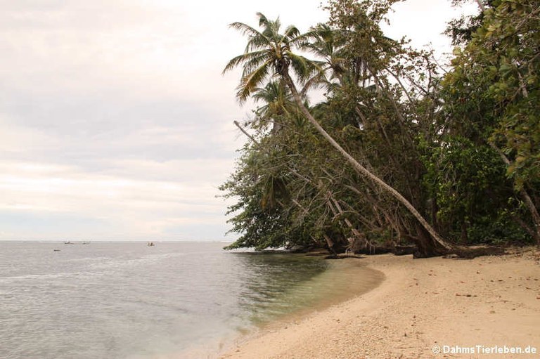 Nationalpark Cahuita