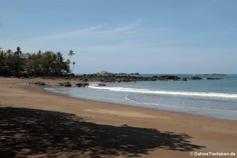 Strand vor der San Pedrillo Station