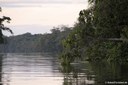 Nationalpark Tortuguero