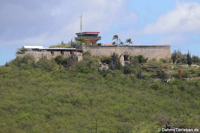 fort-nassau.jpg