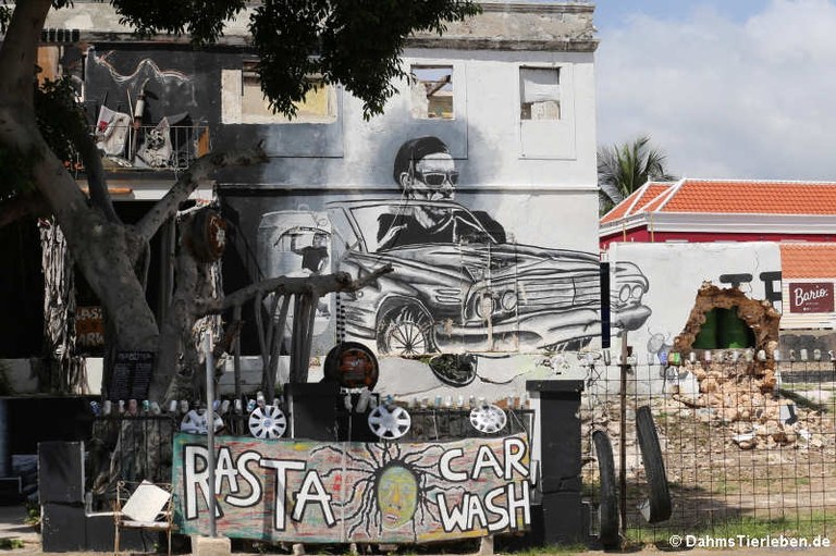 Rasta Car Wash auf Curacao