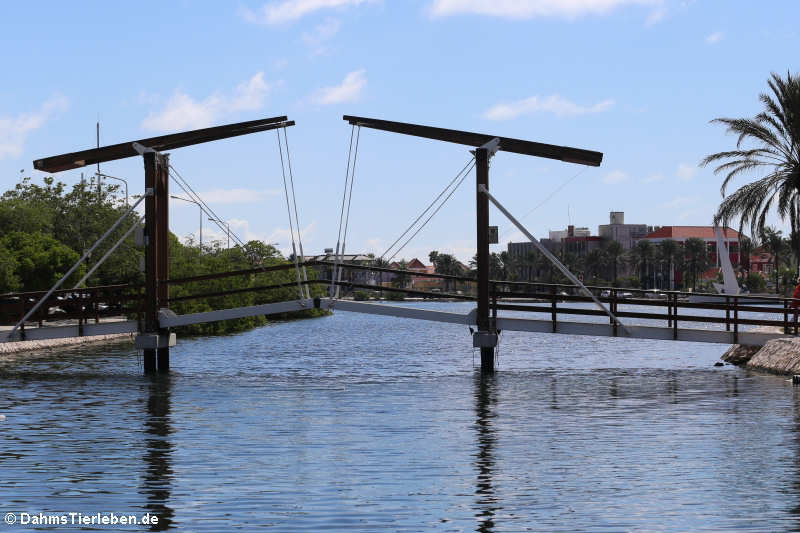 Prinzessin-Amalia-Brücke (Prinses Amalia brug)