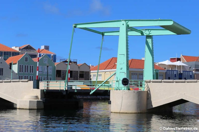 Koningin Wilhelminabrug auf Curaçao